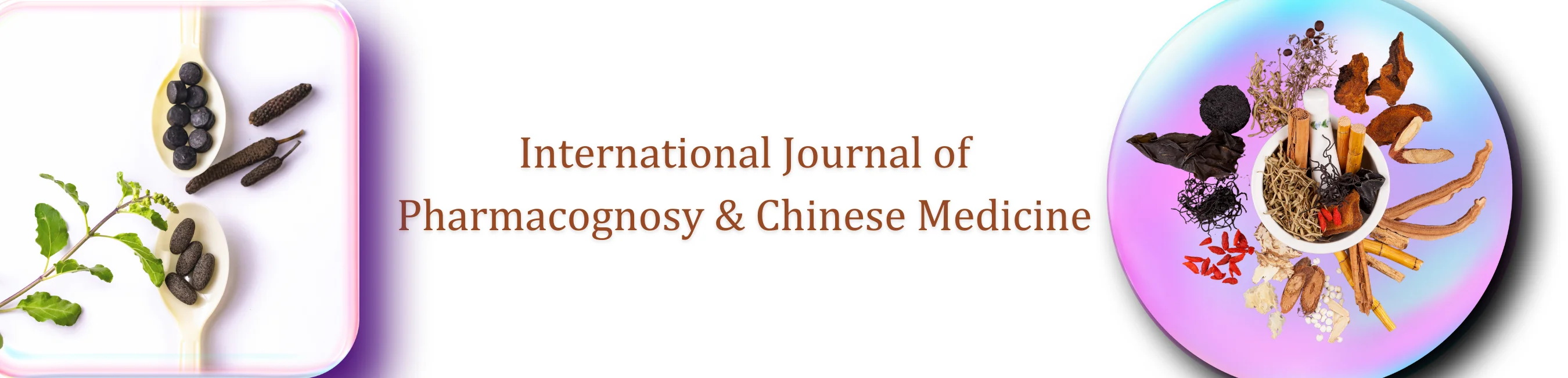 Banner Image of International Journal of Pharmacognosy & Chinese Medicine