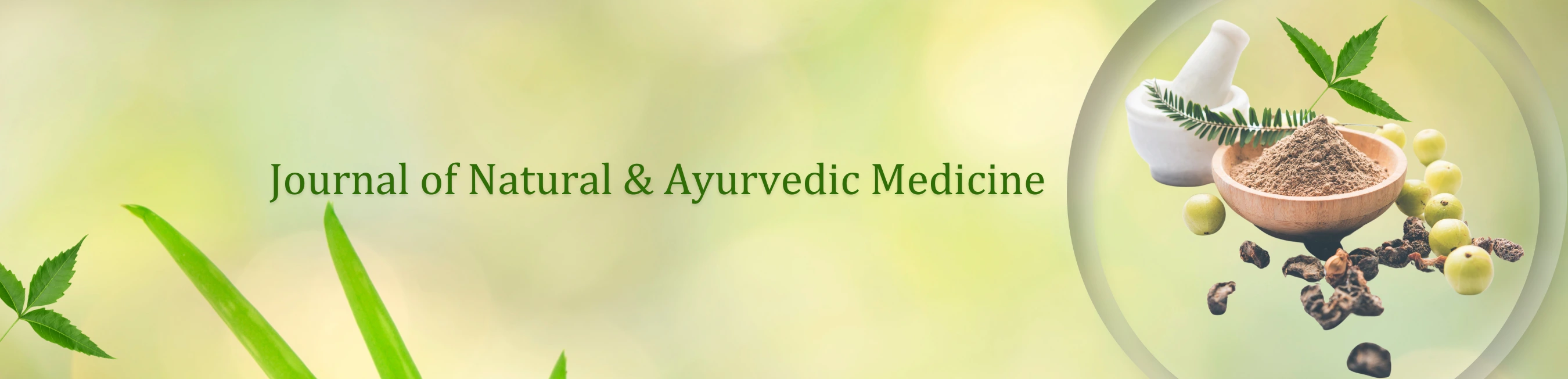 Banner Image of Journal of Natural & Ayurvedic Medicine