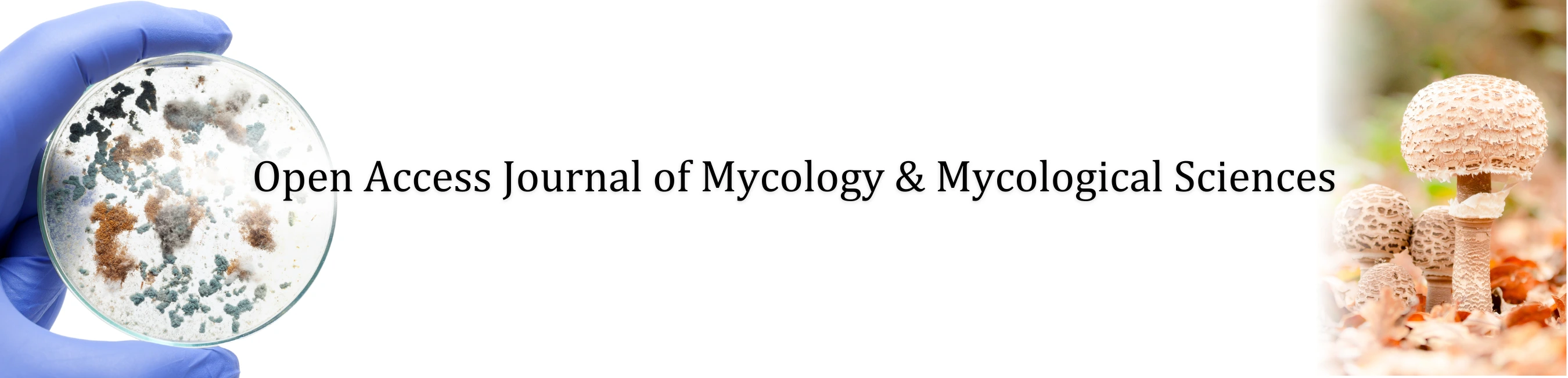 Banner Image of Open Access Journal of Mycology & Mycological Sciences