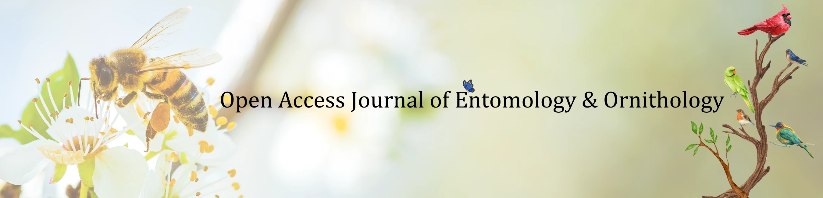 Banner Image of Open Access Journal of Entomology & Ornithology